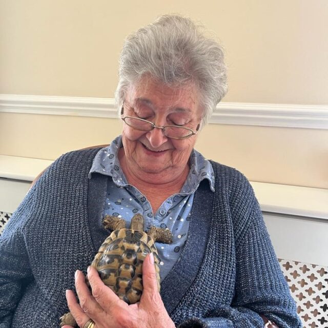 Donna’s animal rescue visits Hunters Creek Care Home