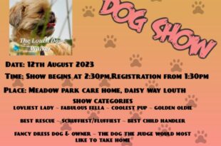 Dog show at Meadows Park