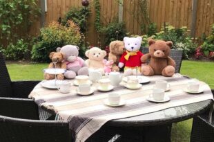 Teddy bear picnic