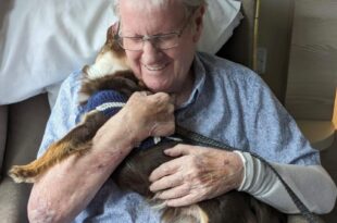 Pet therapy at Avocet House