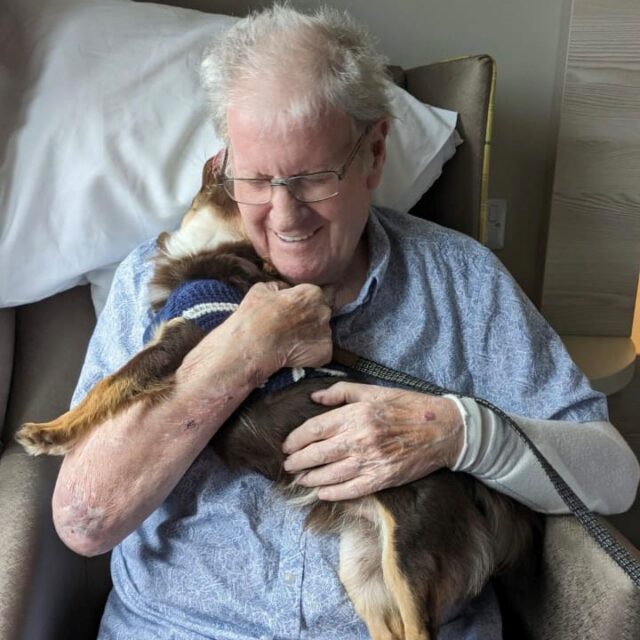 Pet therapy at Avocet House