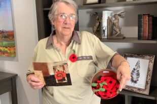 Stories of Remembrance and Shared Memories at Meadows Park