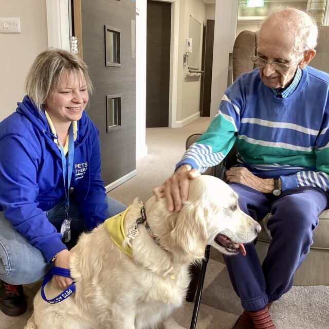 Holbeach Meadows: Welcoming Therapy Dogs, hosting Rainbows, and celebrating VE day in style