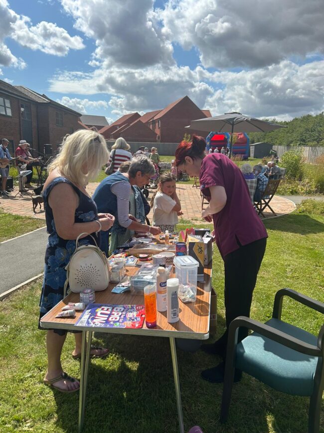 Meadows Park Summer Fair