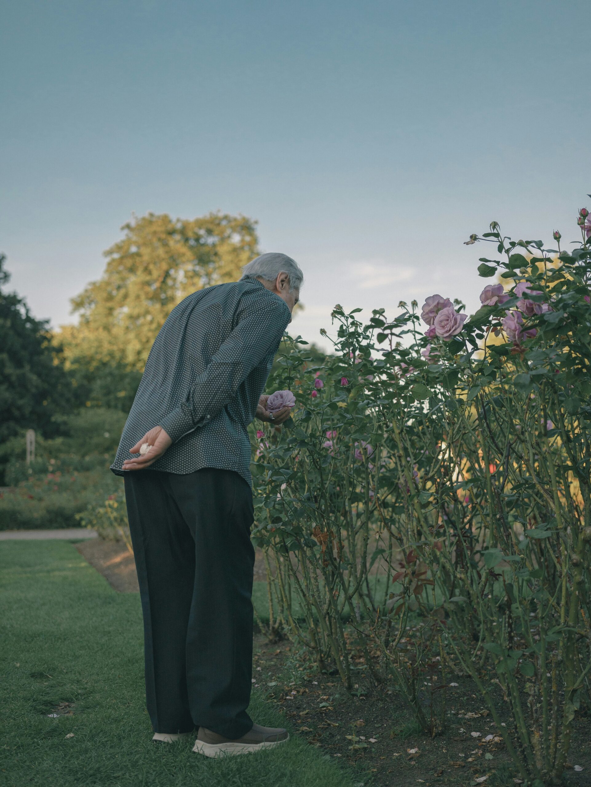 An elderly resident gazes at blooming flowers in the Tanglewood Care Home garden, surrounded by lush greenery and sunlight.