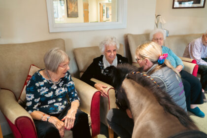 Shetland Pony Brings Joy to Cloverleaf Care Home with Drop Dead Generous Initiative